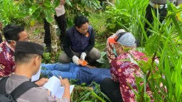 Pria Asal Gunungwungkal Ditemukan Tewas Tergantung di Kebun Cengkeh Tlogowungu