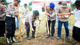 Polresta Cirebon melaksanakan kegiatan Penanaman Jagung Dalam Rangka Mendukung Program Swasembada Pangan Nasional