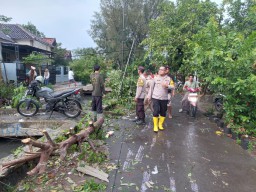 Puting Beliung Terjang Desa Muara, Puluhan Rumah dan Sekolah Rusak