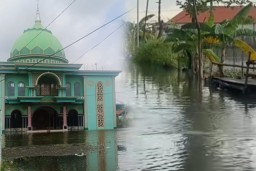Tiga Bulan Terendam Banjir , Masyarakat Bengawan Jero Lamongan Menjerit !