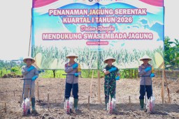 Dukung Program Swasembada Pangan Tahun 2026, Polda Bali Tanam Jagung Serentak