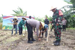 Perkuat Ketahanan Pangan 2026, Polres Pelabuhan Tanjung Perak Gelar Tanam Jagung Serentak Gandeng Poktan dan Bulog