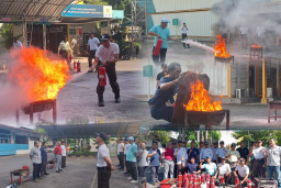 Refreshment Penanganan Kebakaran Satpam PT Haleyora Powerindo Perkuat Budaya Keselamatan Kerja di Lingkungan PLN