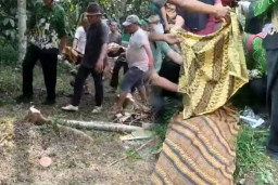 Duel Carok di Lumajang Tewaskan Satu Orang, Satu Korban Luka Berat