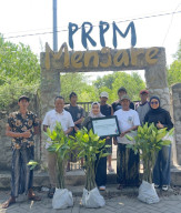 Prestasi PLN UIP JBTB dalam Peringatan Hari Bumi, Hijaukan Pesisir Gresik Lewat Penanaman 20.000 Bibit Mangrove