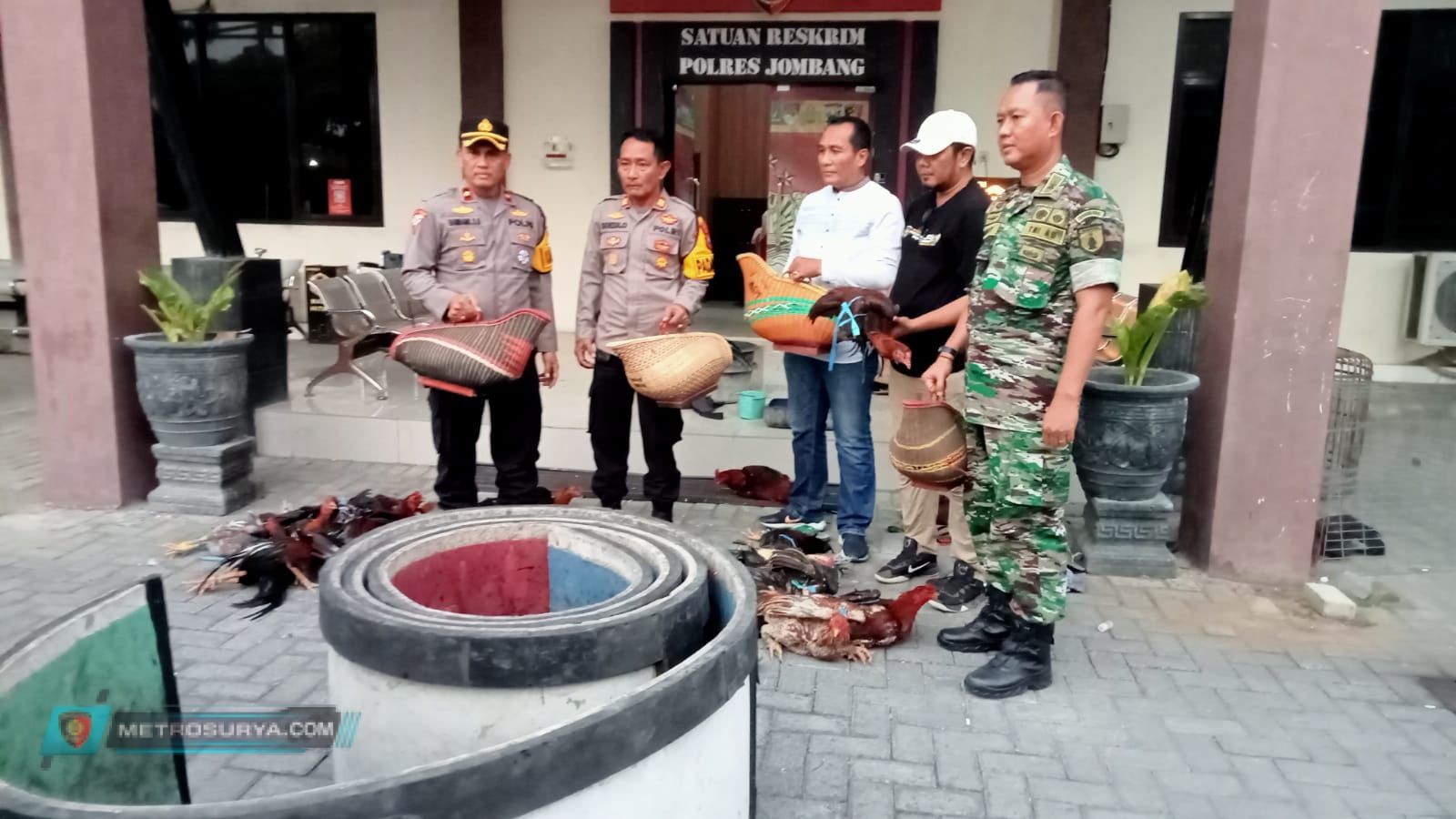 Tim Gabungan Polres Jombang, Gerebek Arena Judi Sabung Ayam di Tambakberas Jombang
