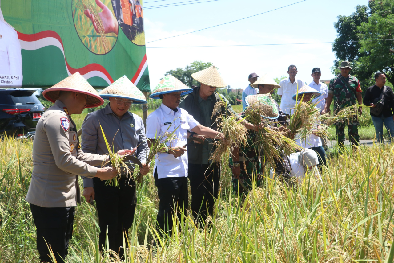 Kapolres Cirebon Kota Hadiri Panen Raya Padi Serentak di Kota Cirebon Bersama Presiden RI Secara Daring