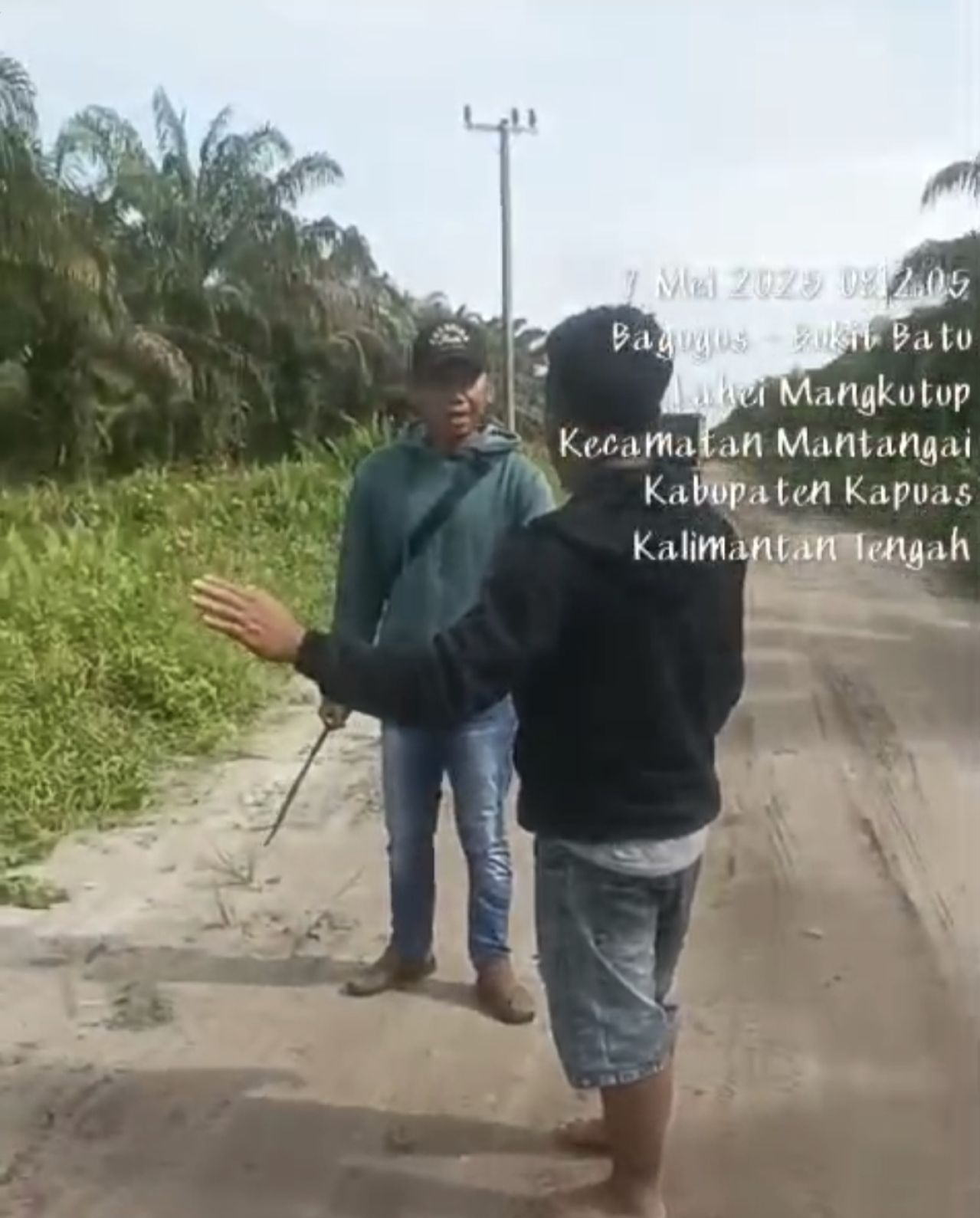 DIREKAM:Dalam rekaman video berdurasi singkat tersebut, tampak seorang pria bersenjata tajam jenis parang bungkul berusaha menyerang petani sawit.