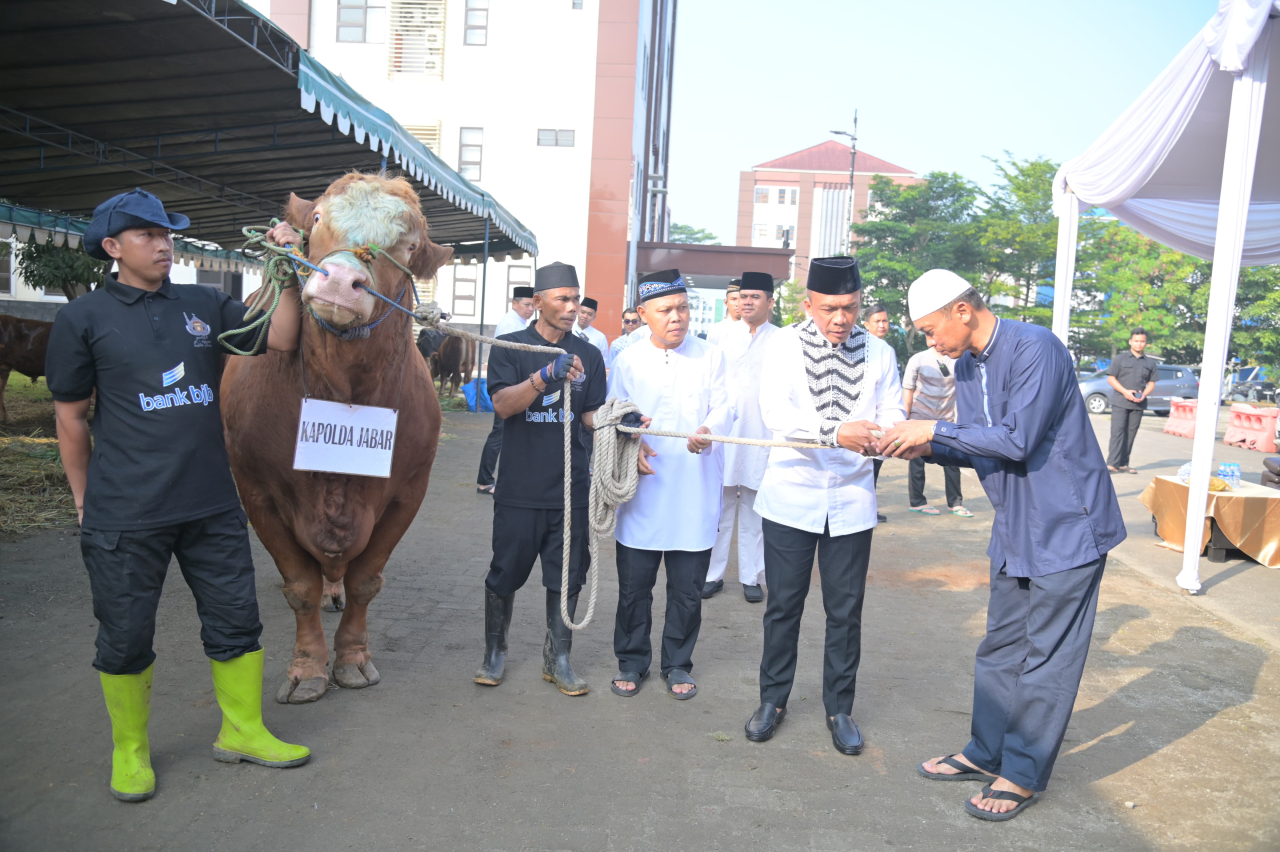 Kapolda Jabar Sumbangkan Dua Ekor Sapi Limosin untuk Pesantren, Penyandang Cacat dan Kaum Dhuafa di Hari Raya Idul Adha 1446 H