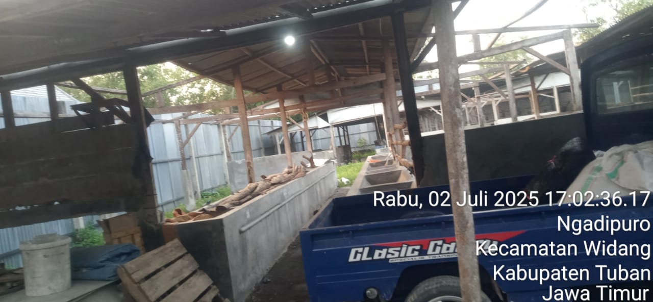 HAK JAWAB: Klarifikasi Pemerintah Desa Ngadipuro Terkait Isu Bantuan Ternak Sapi