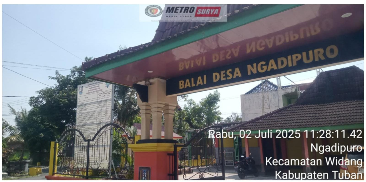 Diduga Ada Program Siluman di Desa Ngadipuro, Bantuan 60 Ekor Sapi Raib