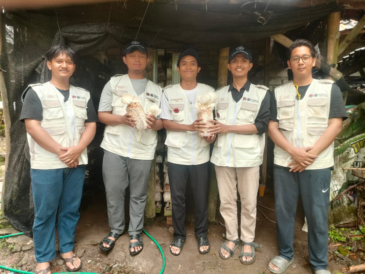 KKN Mahasiswa UGM Jogyakarta di Desa Criwik,Kunjungi Sentra Produksi Pembibitan Jamur Tiram