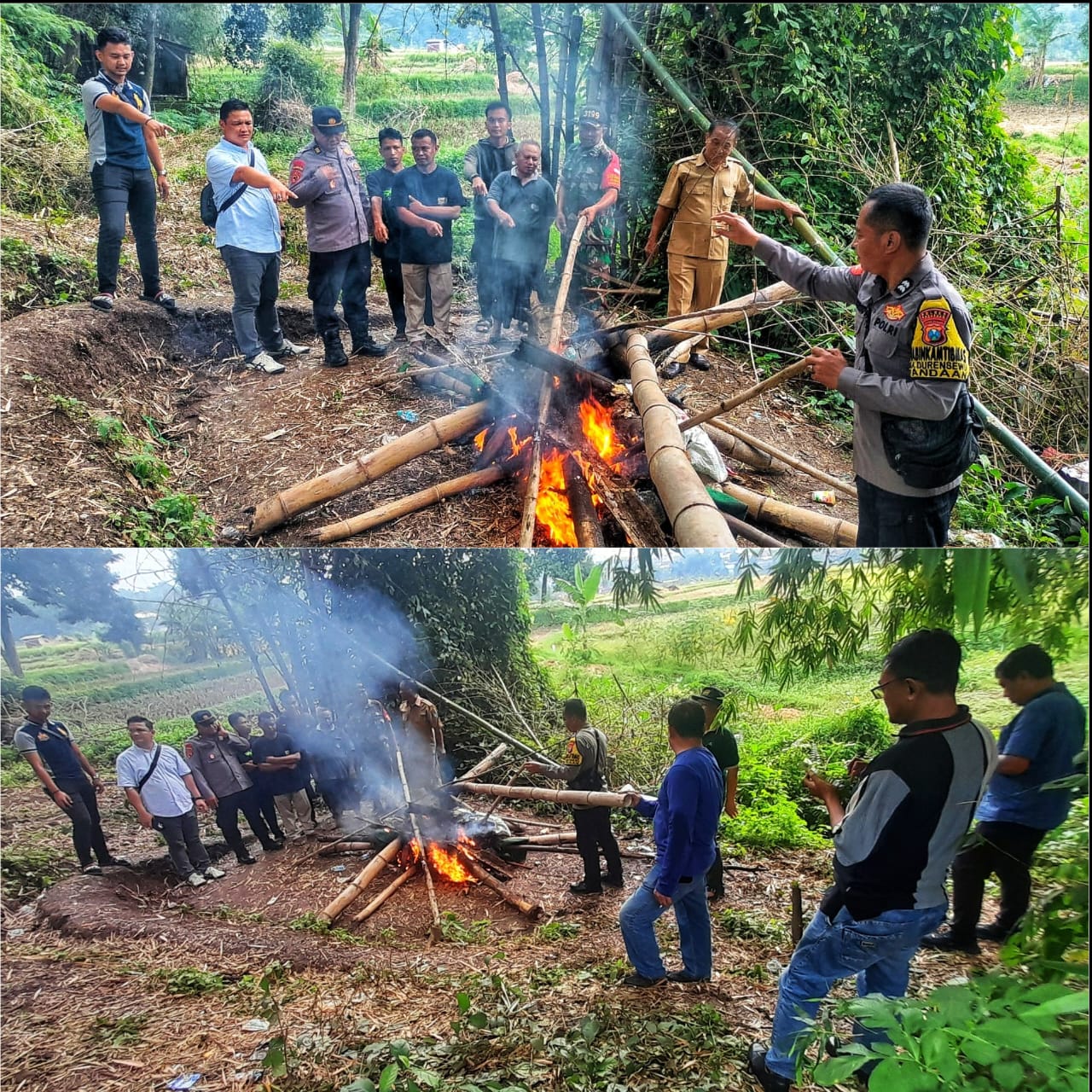 Polisi Bongkar Arena Judi Sabung Ayam di Dusun Mendalan Durensewu Pandaan