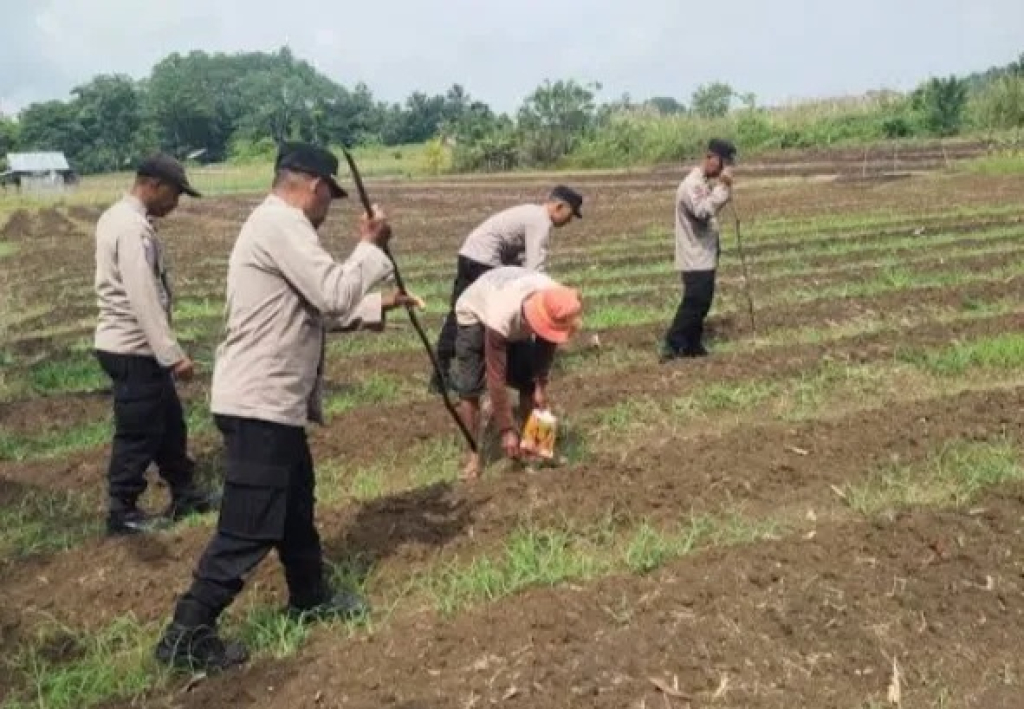 Gerakan Jagung Massal Polda Jabar Tembus Ribuan Hektare, Dorong Swasembada Pangan Nasional