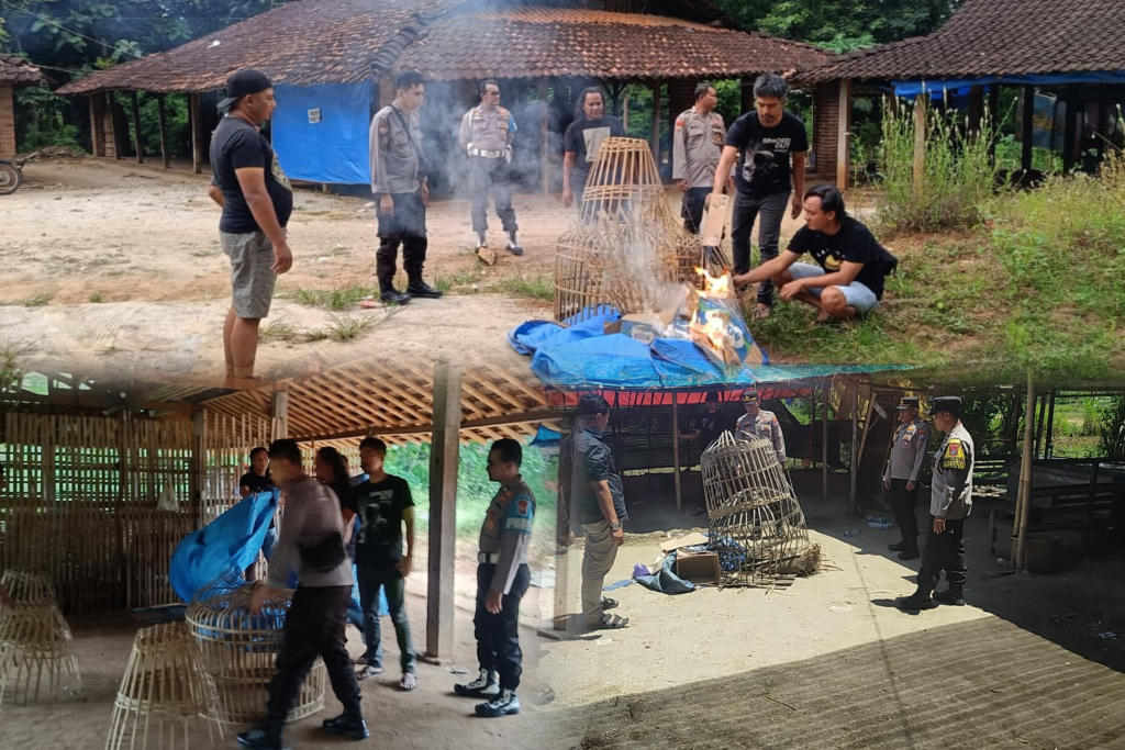 Tindak Tegas! Polres Ponorogo Bubarkan 3 Titik Judi Sabung Ayam dan Dadu