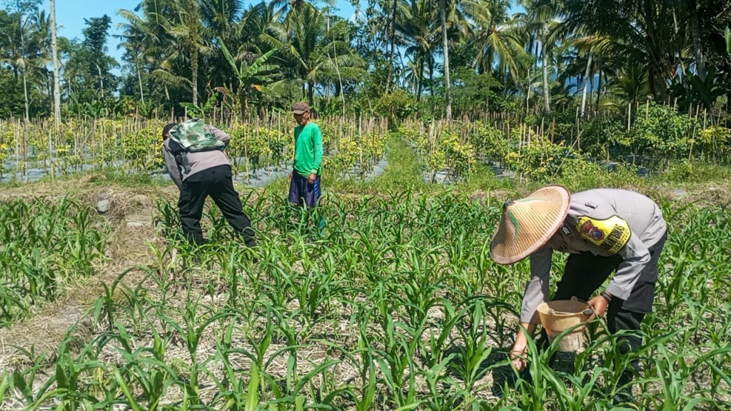 Polres Lumajang Kerahkan Personel Penggerak Ketahanan Pangan untuk Mendampingi dan Mendukung Petani